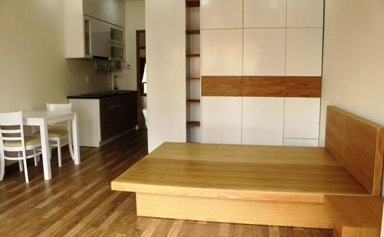 serviced apartment for rent in thao dien ward district 2 hcmc D299113