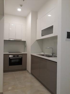apartment for rent in district 1 D102518 D102555(1)