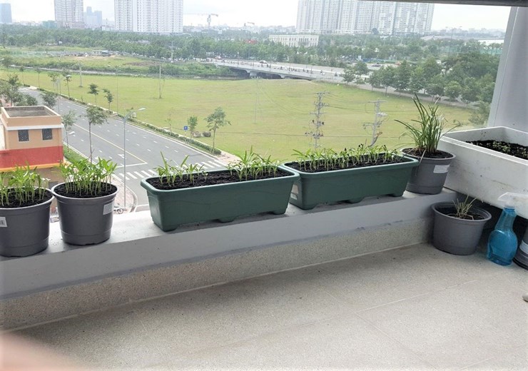 viber_image_2019 11 20_15 44 48